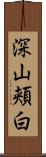 深山頬白 Scroll