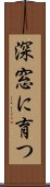 深窓に育つ Scroll