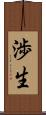渉生 Scroll
