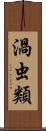 渦虫類 Scroll