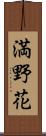 満野花 Scroll