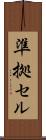 準拠セル Scroll