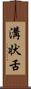 溝状舌 Scroll