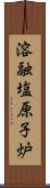 溶融塩原子炉 Scroll