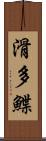 滑多鰈 Scroll