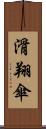 滑翔傘 Scroll