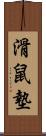滑鼠墊 Scroll