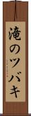 滝のツバキ Scroll