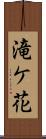 滝ケ花 Scroll