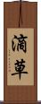 滴草 Scroll