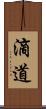 滴道 Scroll