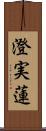 澄実蓮 Scroll