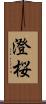 澄桜 Scroll