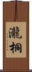 瀧桐 Scroll