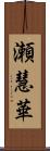 瀬慧華 Scroll