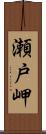 瀬戸岬 Scroll
