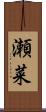 瀬菜 Scroll