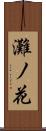 灘ノ花 Scroll