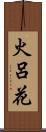 火呂花 Scroll
