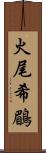 火尾希鶥 Scroll