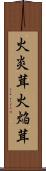 火炎茸 Scroll