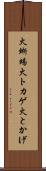 火蜥蜴 Scroll