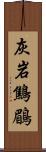 灰岩鷦鶥 Scroll