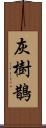 灰樹鵲 Scroll