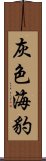 灰色海豹 Scroll