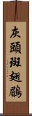 灰頭斑翅鶥 Scroll