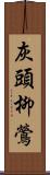 灰頭柳鶯 Scroll