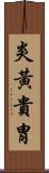 炎黃貴胄 Scroll
