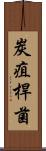 炭疽桿菌 Scroll