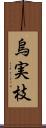 烏実枝 Scroll