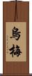 烏梅 Scroll
