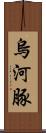 烏河豚 Scroll