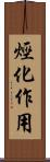 烴化作用 Scroll