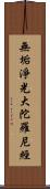 無垢淨光大陀羅尼經 Scroll