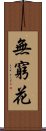 無窮花 Scroll