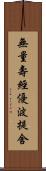 無量壽經優波提舍 Scroll