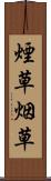 煙草 Scroll
