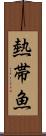 熱帯魚 Scroll
