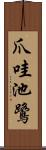 爪哇池鷺 Scroll