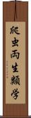 爬虫両生類学 Scroll