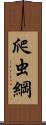爬虫綱 Scroll