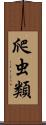爬虫類 Scroll