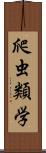 爬虫類学 Scroll