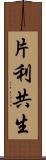 片利共生 Scroll