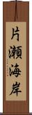 片瀬海岸 Scroll