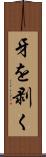 牙を剥く Scroll